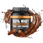 100% Whey Professional - Protein Nutrition