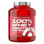 100% Whey Protein Professional - Scitec Nutrition