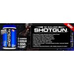 12 Gauge Shotgun - VPX