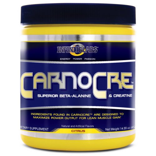 CarnoCre - Infinite Labs