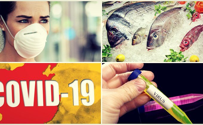 Rybí tuk (Omega-3) a vitamín D môžu pripraviť telo na nákazu COVID-19