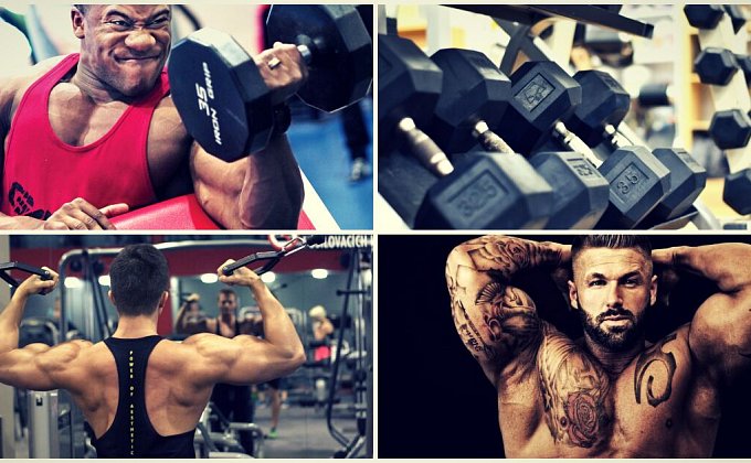 5 tipov pre väčšie bicepsy, aké cviky vám zaručene pomôžu?