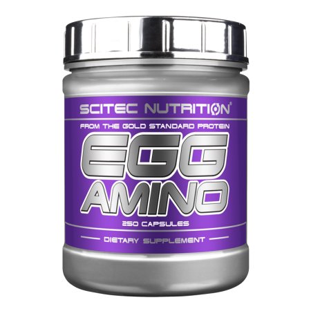 Egg Amino - Scitec Nutrition