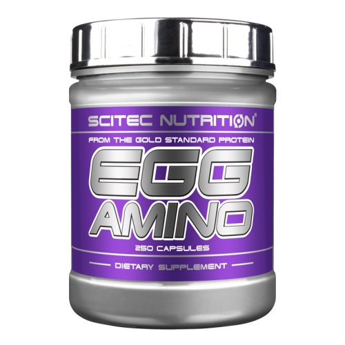 Egg Amino - Scitec Nutrition