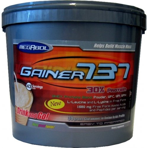 Gainer 737 - Megabol