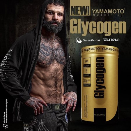 Glycogen (obnovuje zásobu glykogénu) - Yamamoto