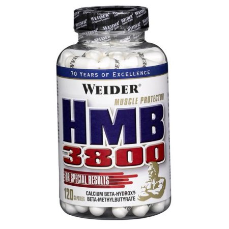 HMB 3800- Weider