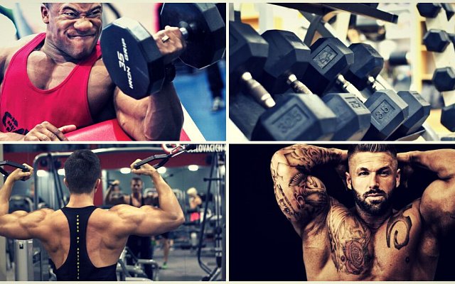 5 tipov pre väčšie bicepsy, aké cviky vám zaručene pomôžu?
