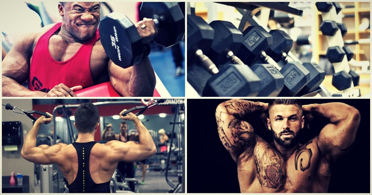 5 tipů pro větší bicepsy: Jaké cviky vám zaručeně pomohou?