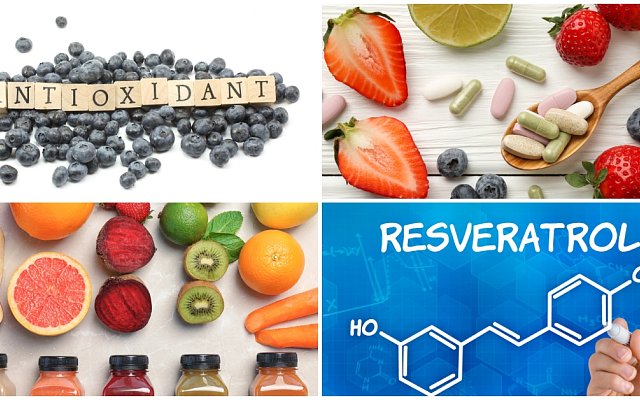 Dôležitosť antioxidantov vo fitness výžive - aké potraviny by si mal konzumovať?