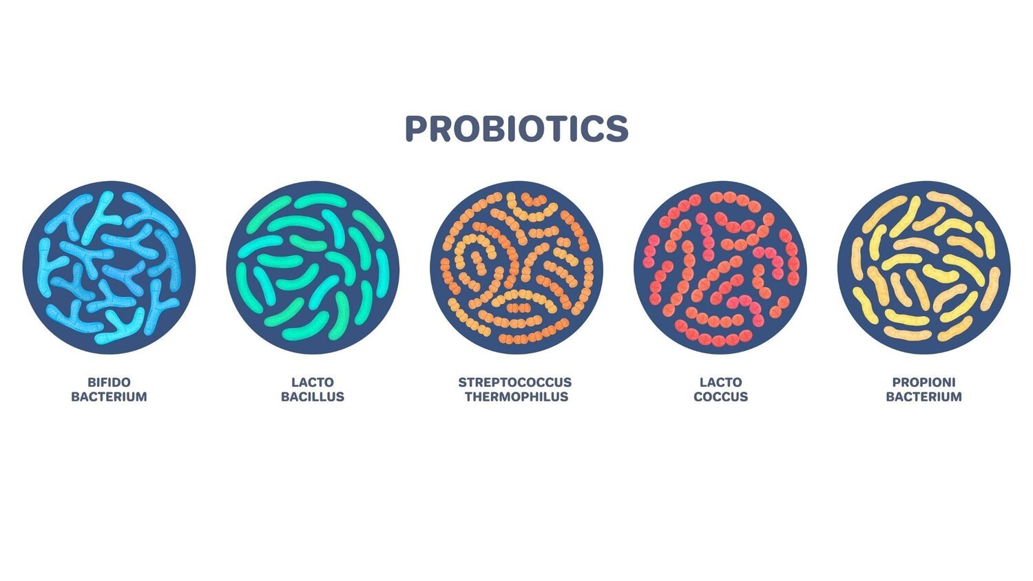 Probiotiká - význam bakteriálnej črevnej flóry pre športovcov
