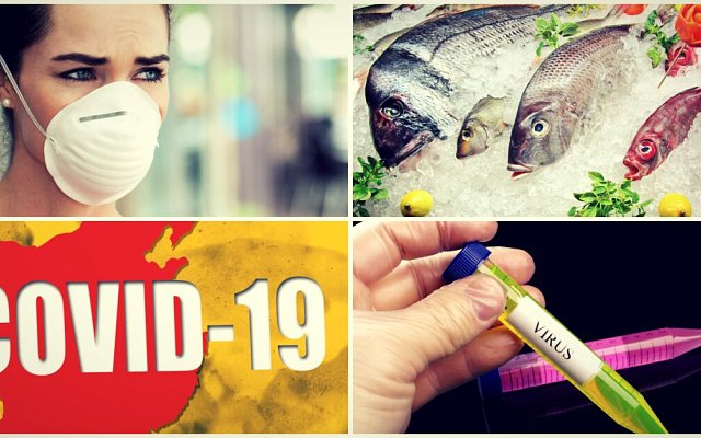Rybí tuk (Omega-3) a vitamín D môžu pripraviť telo na nákazu COVID-19