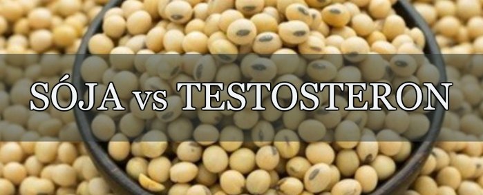 Sója a testosteron. Jaká dávka vám neuškodí?