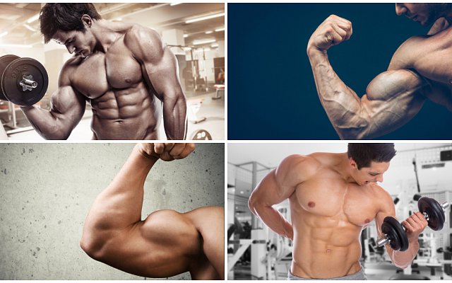 Tajomstvo veľkých bicepsov, najlepšie cviky a tipy ako si vybudovať veľké bicepsy