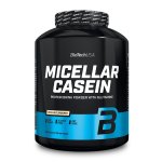 Micellar Casein - Biotech USA