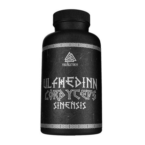 Ulfhedinn Cordyceps Sinensis - Vikingstorm